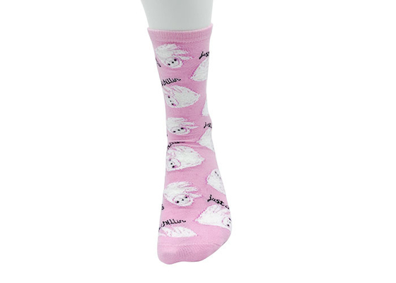 Anti-Bacterial Womens Fancy Socks Breathable Sloth Socks Ladies
