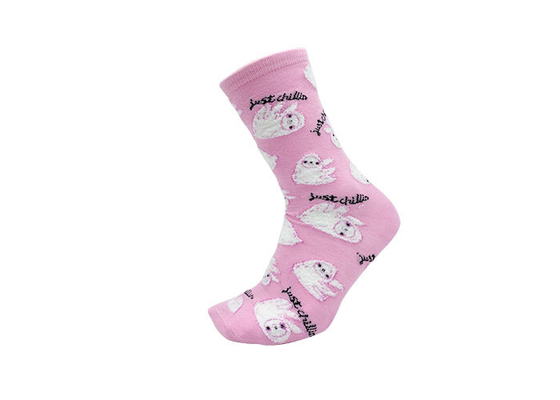 Anti-Bacterial Womens Fancy Socks Breathable Sloth Socks Ladies