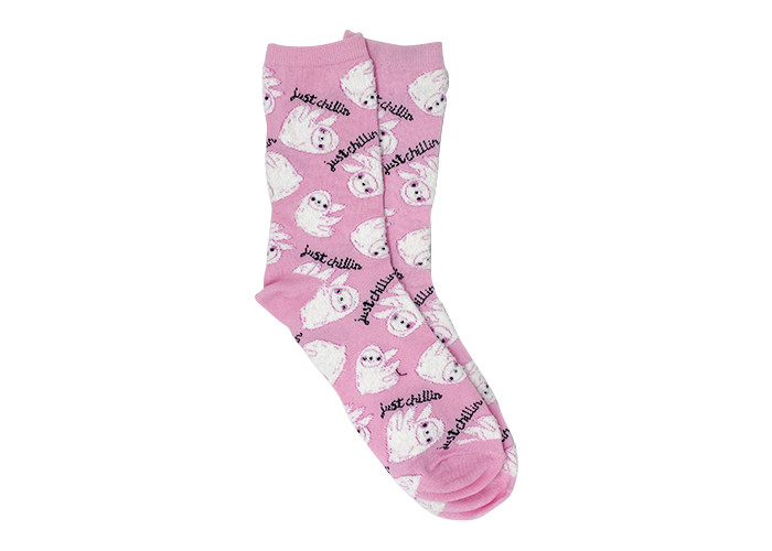 Anti-Bacterial Womens Fancy Socks Breathable Sloth Socks Ladies